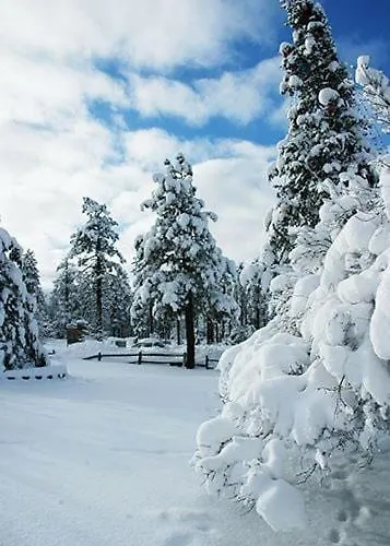 Cowboy Mountain Retreat Sports Village 64a Pinetop/lakeside Holiday home *